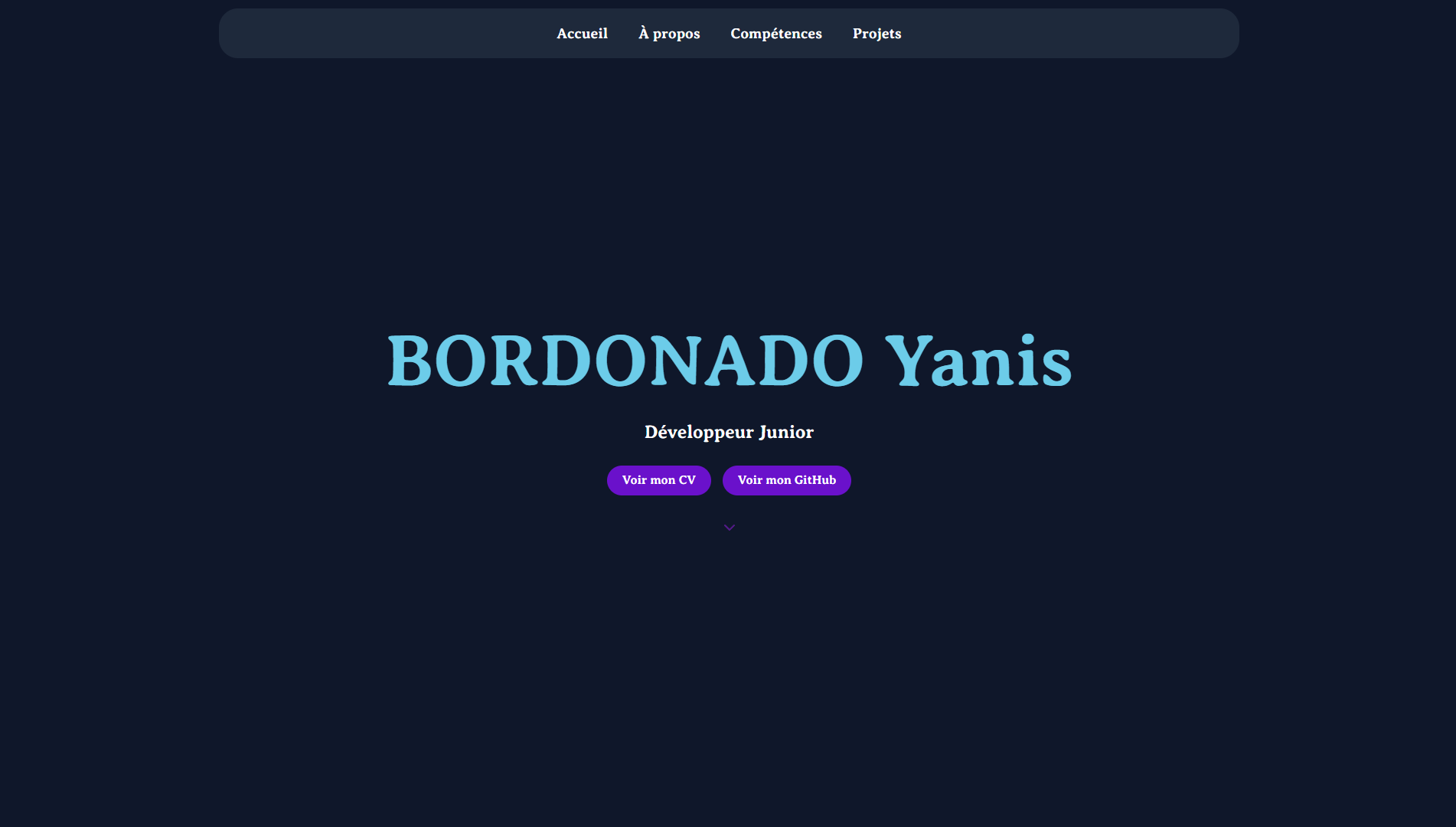photo de la Page d'acceuil du site